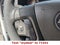 2025 Chevrolet Express Passenger LT